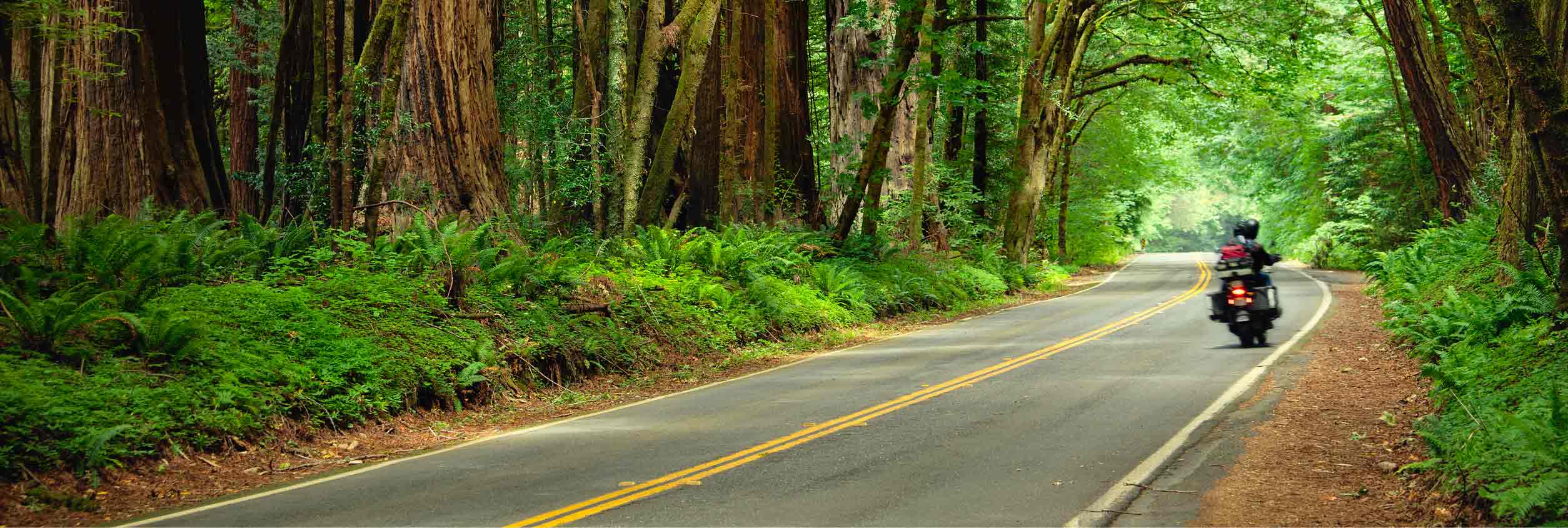 Driver point of view of driving a motorcycle down an open road with fields of green on either side